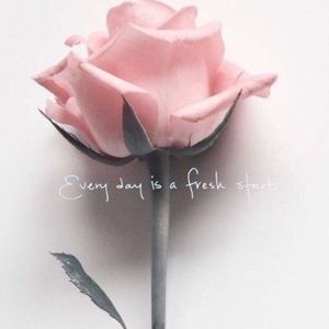 Meet your Posher, Tyra